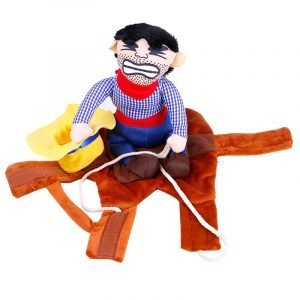 The clothes for pets