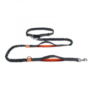 Retractable reflective pet traction rope