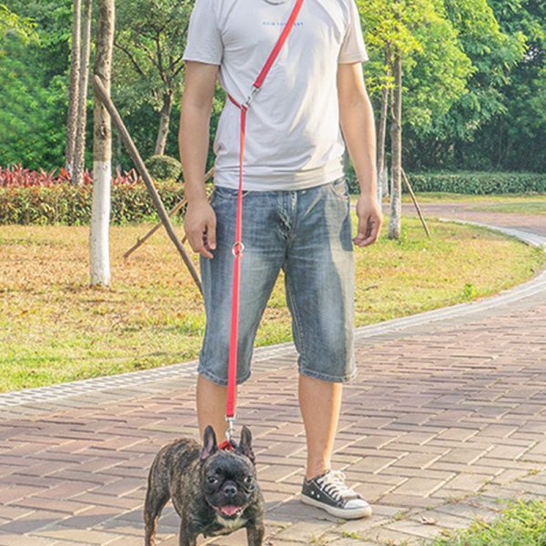 宠物双头尼龙牵引绳5