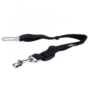 Pet car seat belts