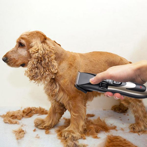 宠物电推剪套装5