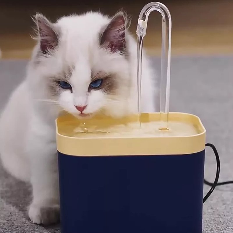 猫咪自动循环流动饮水器5