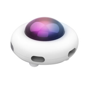 Automatic cat teaser