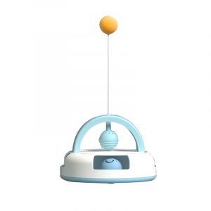 Pet Table Tennis Turntable Toy