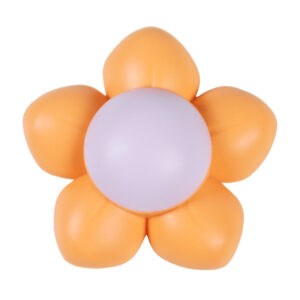 Cat toy mint ball