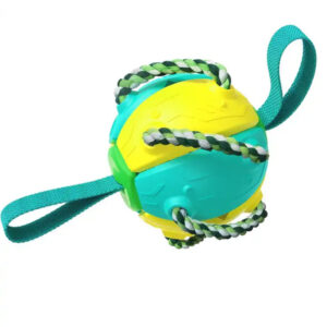 Pet frisbee football toy