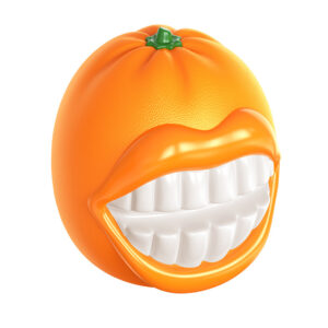 Pet orange throwing tossing toss