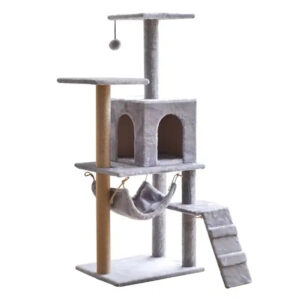 Cat Jump