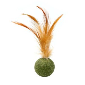 Pet catnip toy