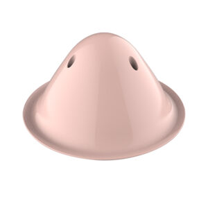 Pet gnawing hidden food toy