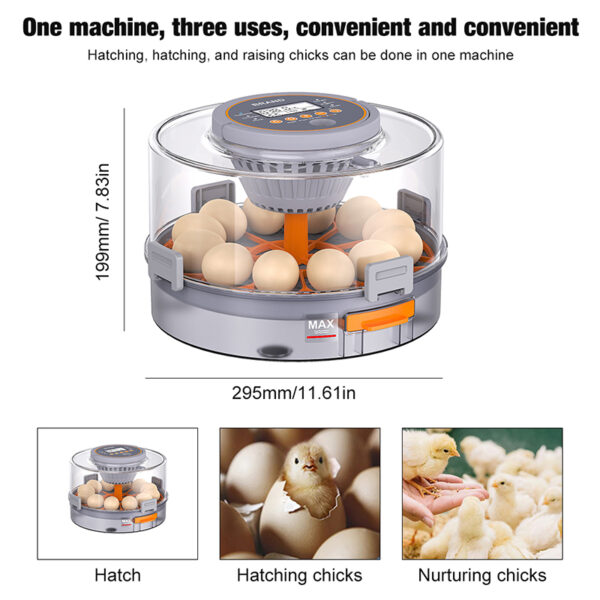 The best egg incubator in 2025