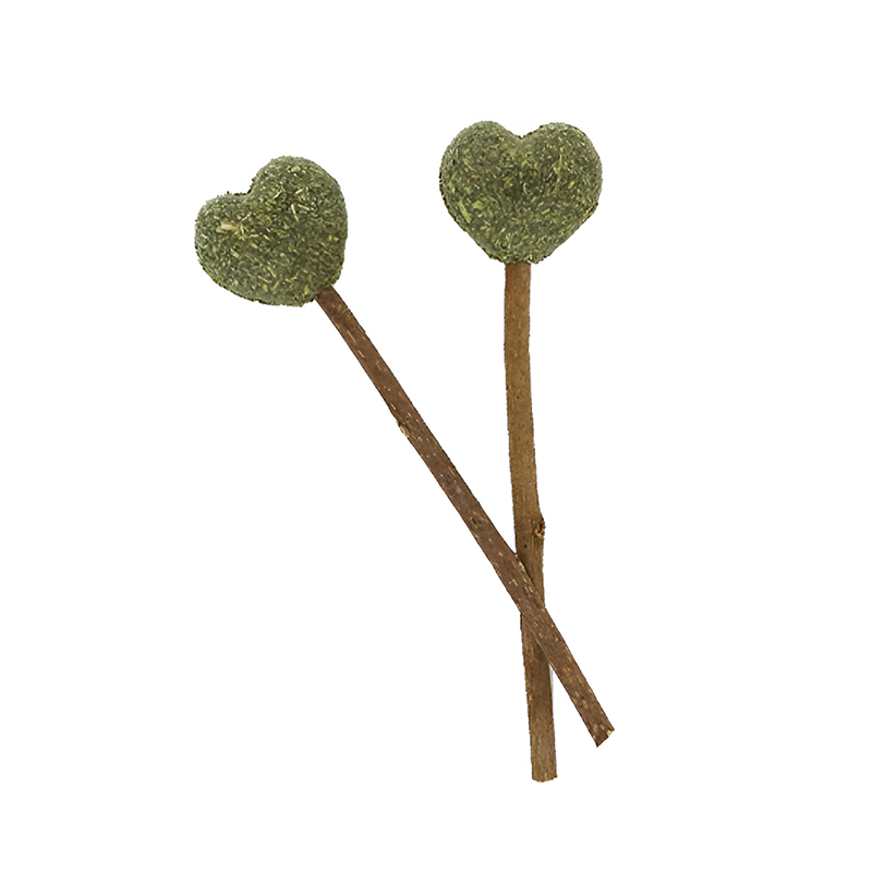 BW3301733(1) Heart-Shaped Catnip Lollipops – Natural & Irresistible Cat Treats
