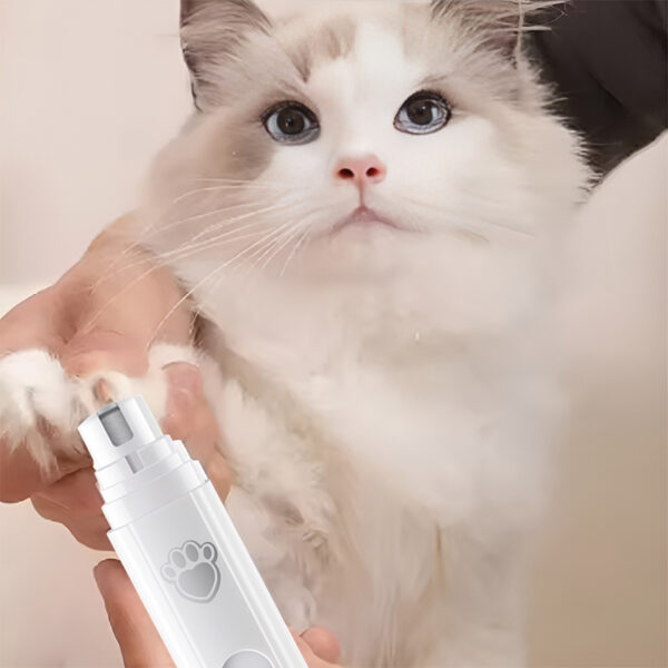 BW3309425(5) Pet nail grinder