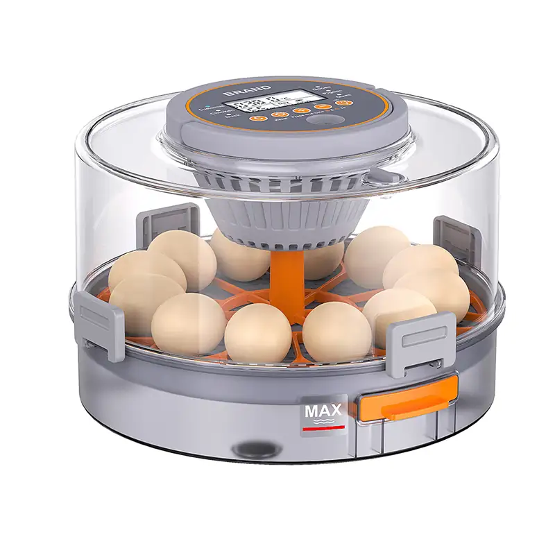 Professional Poultry Hatchery Equipment