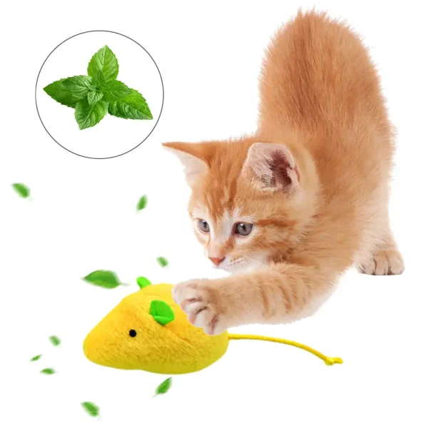 Catnip toy
