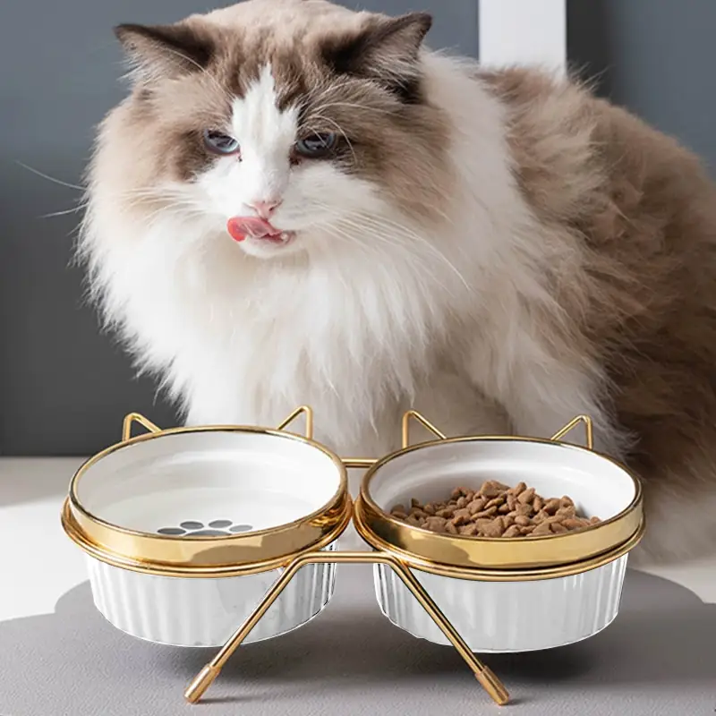 BW3303480(5) Cat Ceramic Bowl