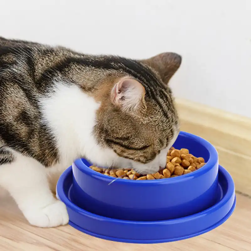 BW3303489(5) Dog Bowl Cat Puppy Food Bowls Round