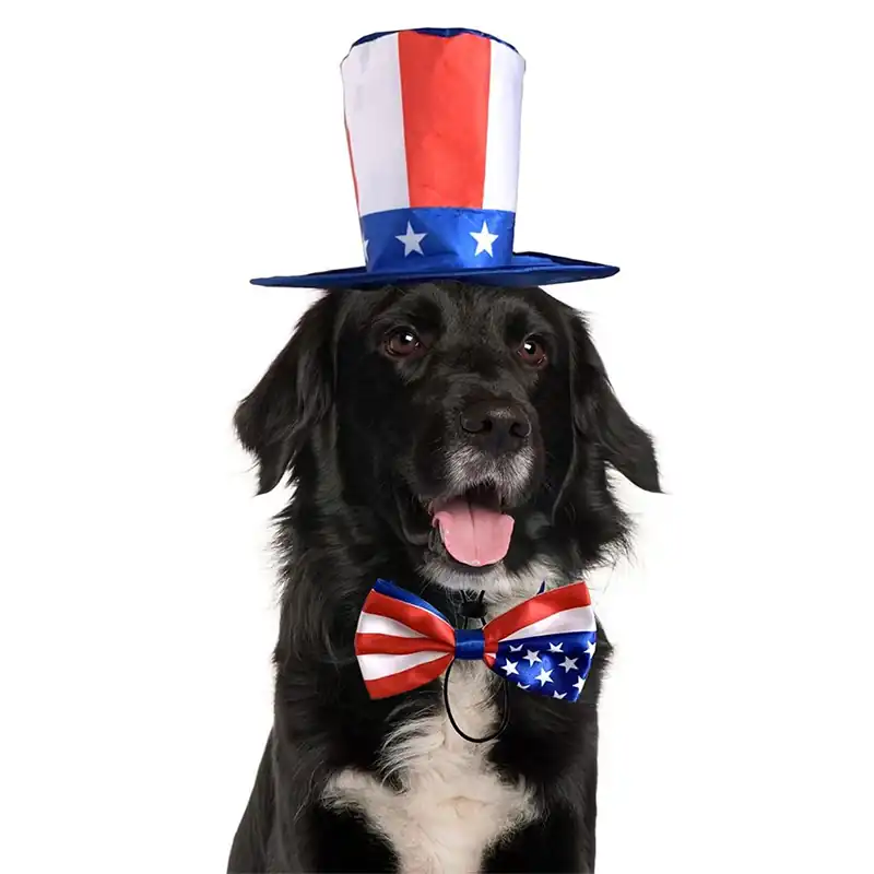 BW3307196(2) Pet bow tie hat