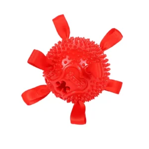 Pet Dog Teeth Grinding