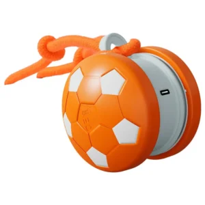 Football Pet Toy