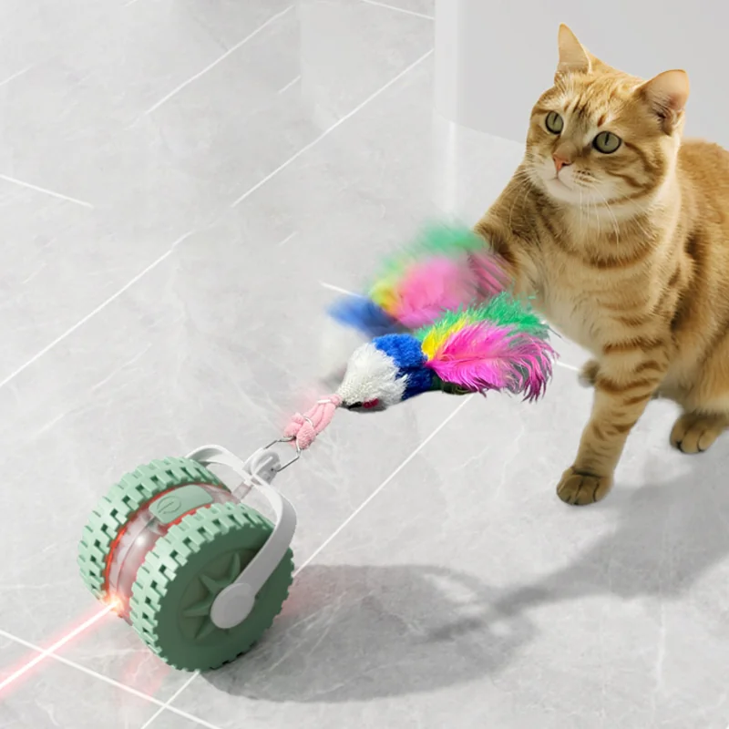 BW3301834(5) Pet Laser Teasing Cat